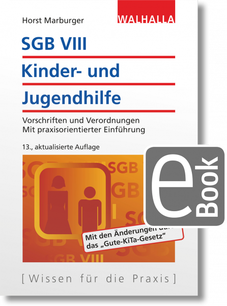 SGB VIII - Kinder- und Jugendhilfe