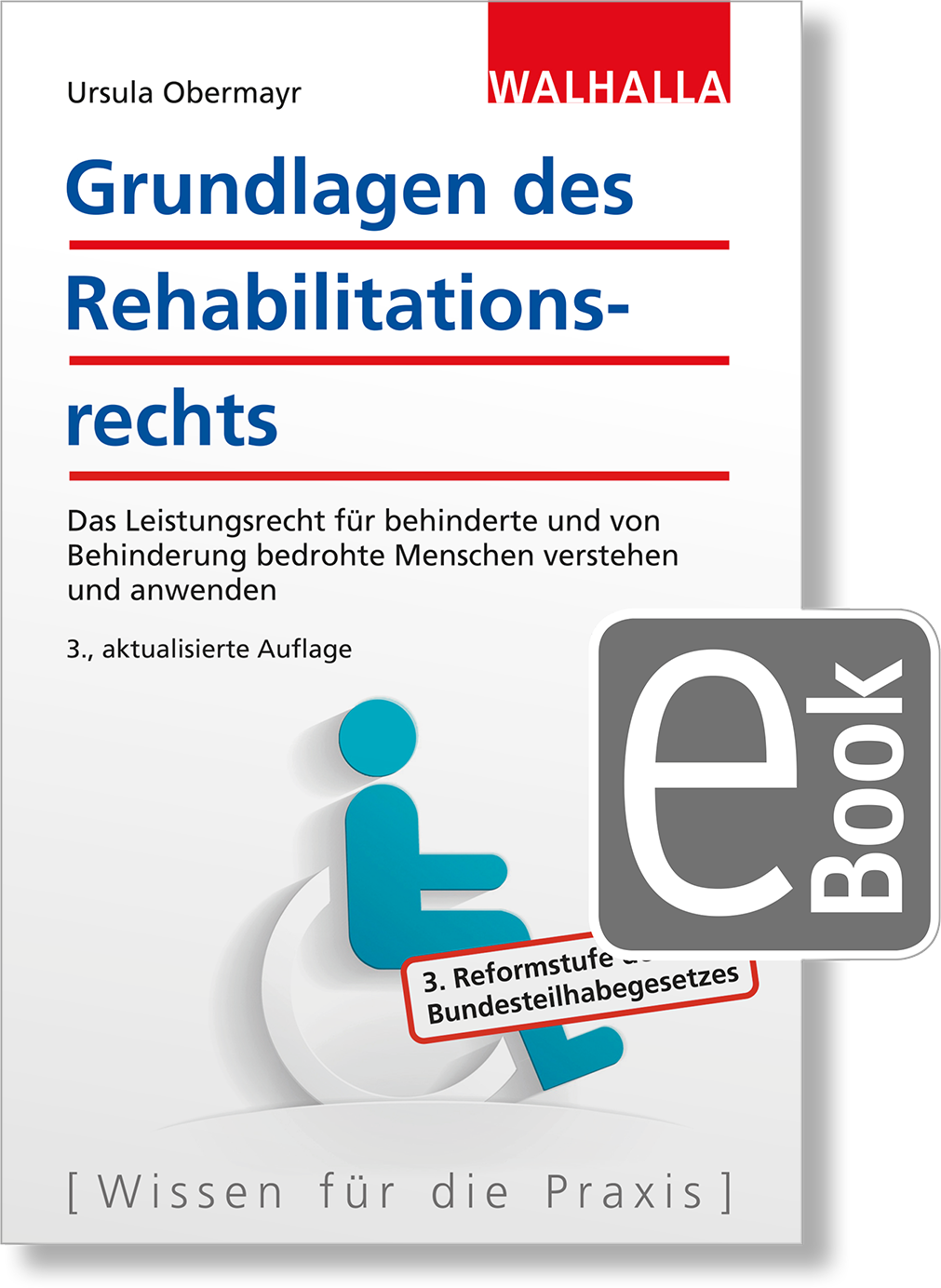 Dieses Bild zeigt das Produkt Grundlagen des Rehabilitationsrechts