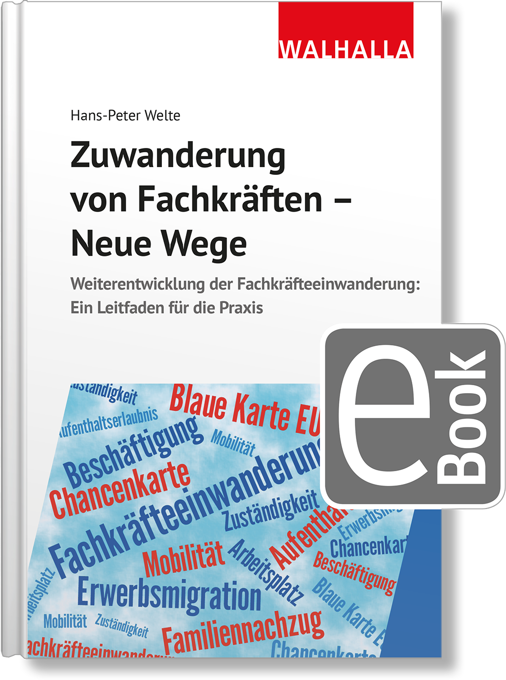 Dieses Bild zeigt das Produkt Zuwanderung von Fachkräften - Neue Wege