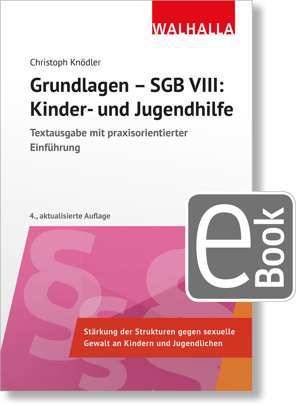 Dieses Bild zeigt das Produkt Grundlagen - SGB VIII: Kinder- und Jugendhilfe