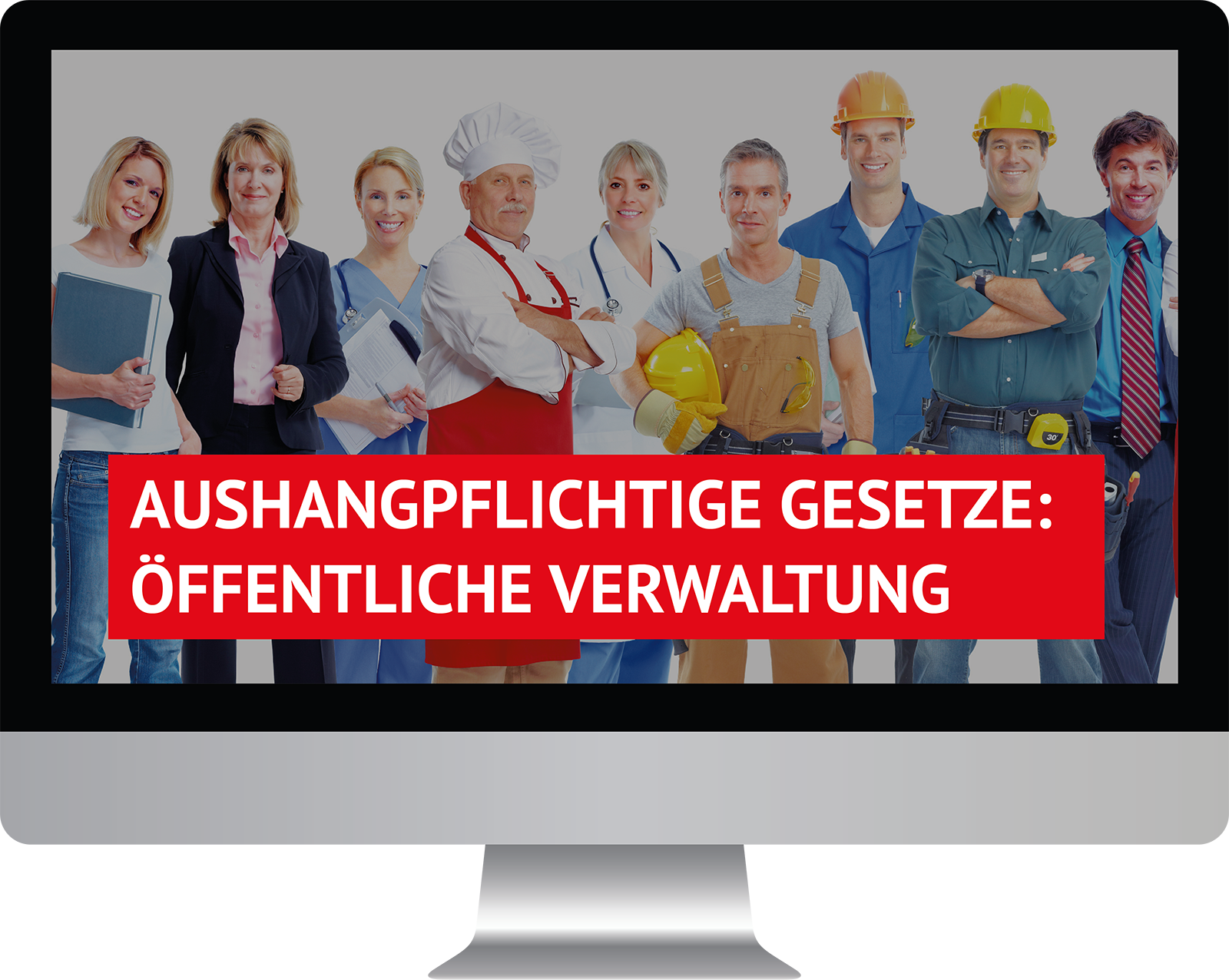 Dieses Bild zeigt das Produkt Aushangpflichtige Gesetze Öffentliche Verwaltung