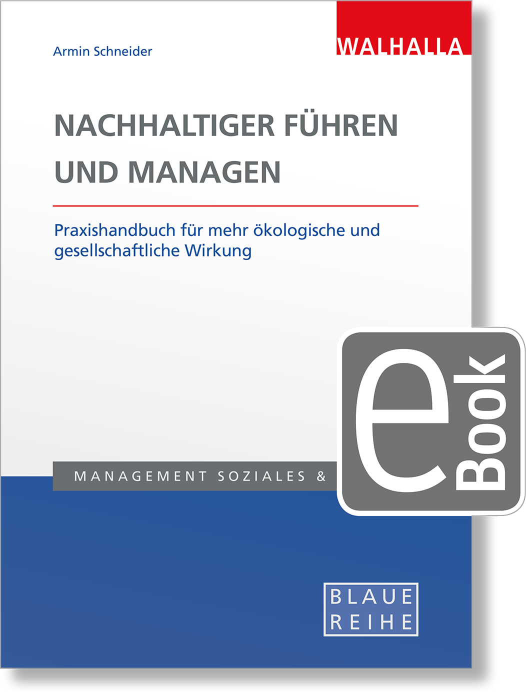 Dieses Bild zeigt das Produkt Nachhaltiger führen und managen