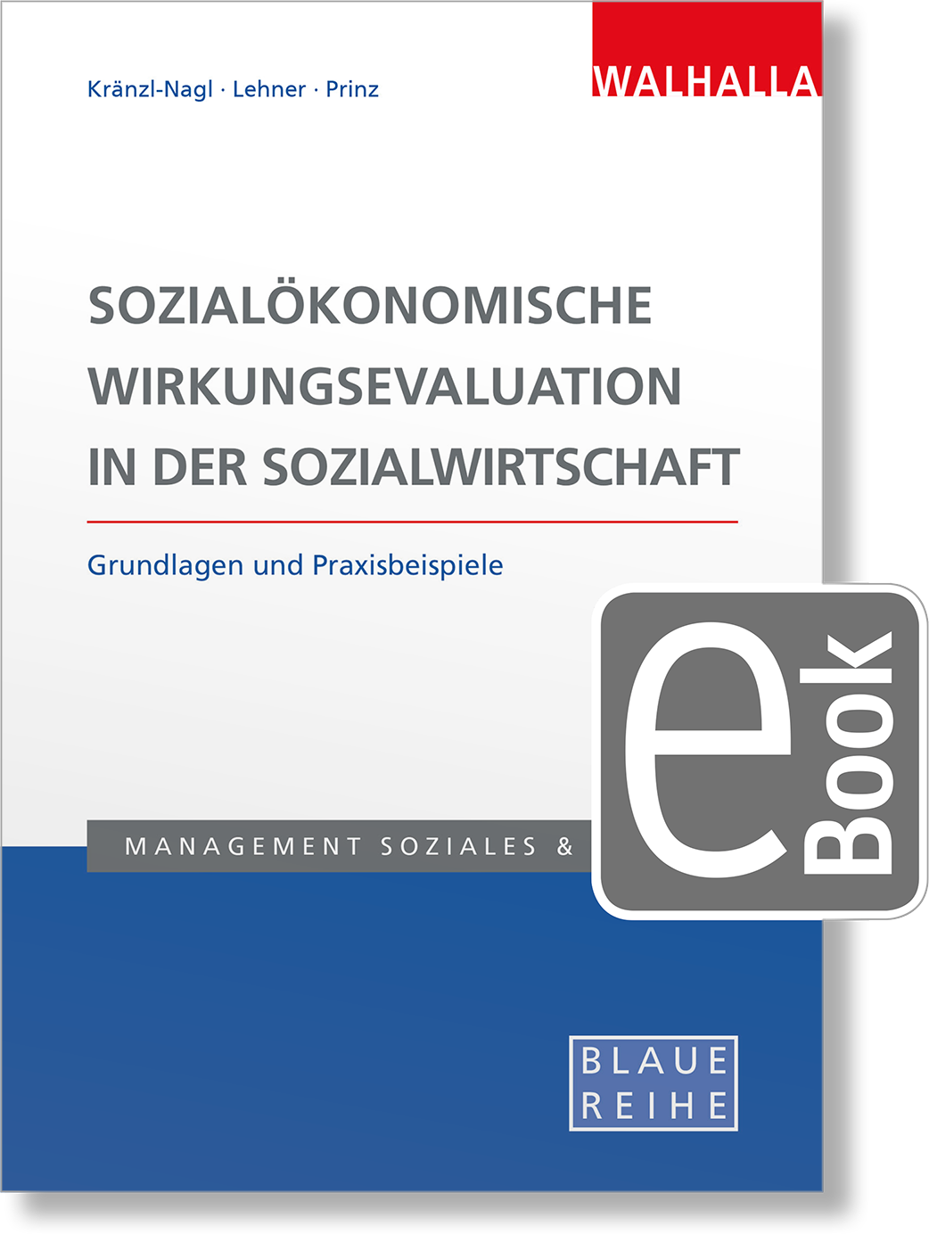 Dieses Bild zeigt das Produkt Sozialökonomische Wirkungsevaluation in der Sozialwirtschaft