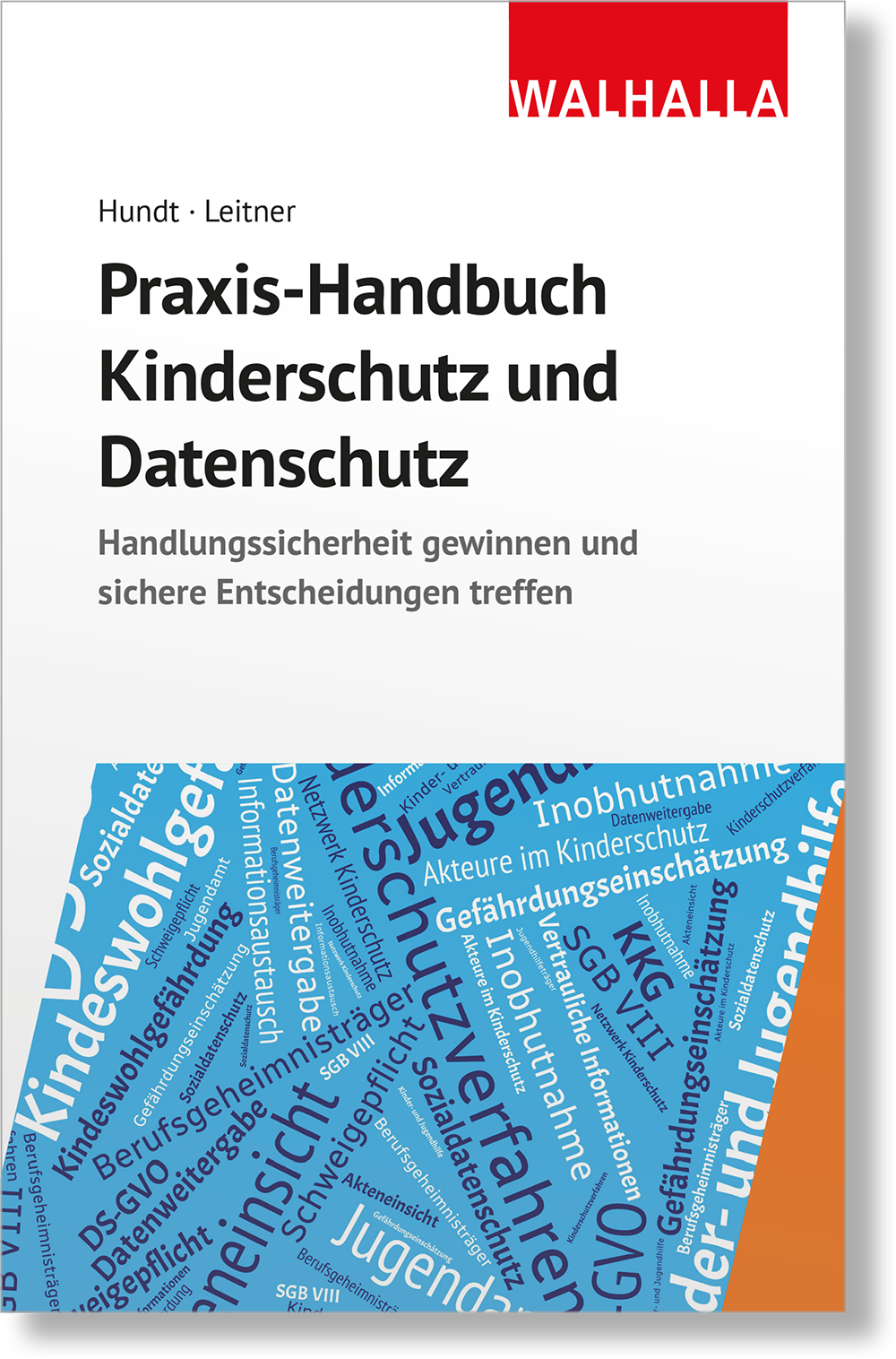 Dieses Bild zeigt das Produkt Praxis-Handbuch Kinderschutz und Datenschutz
