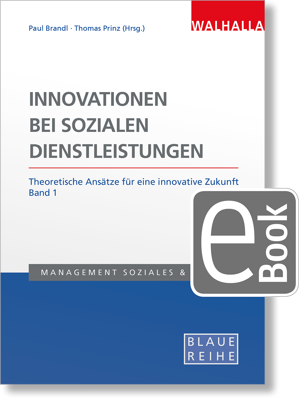 Dieses Bild zeigt das Produkt Innovationen bei sozialen Dienstleistungen Band 1