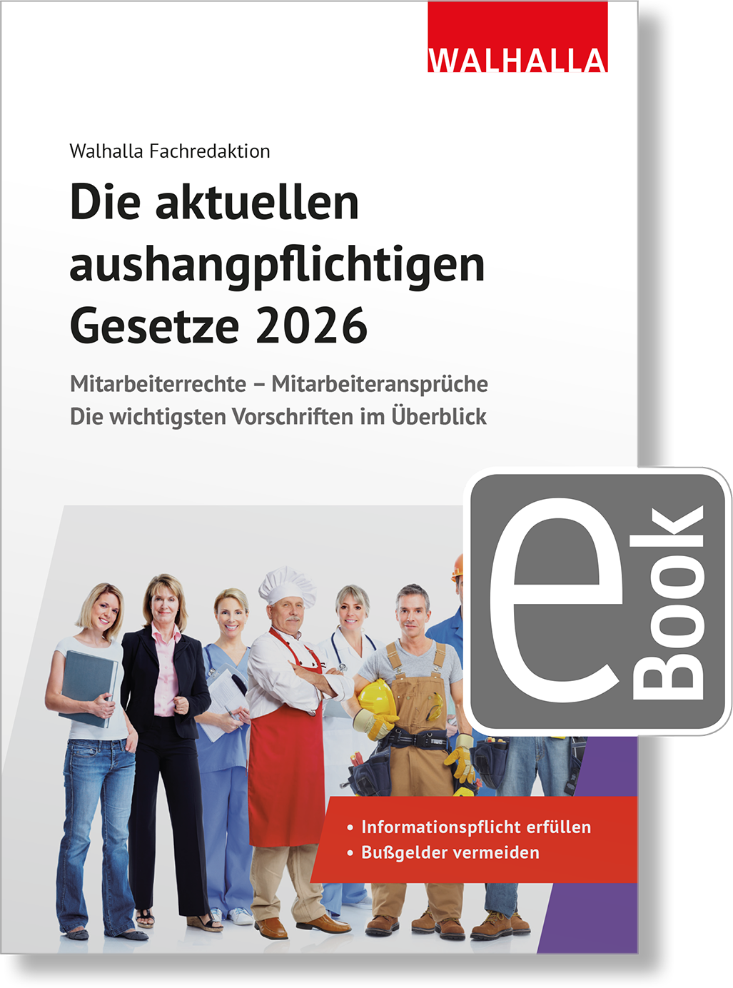 Dieses Bild zeigt das Produkt Die aktuellen aushangpflichtigen Gesetze 2026 digital