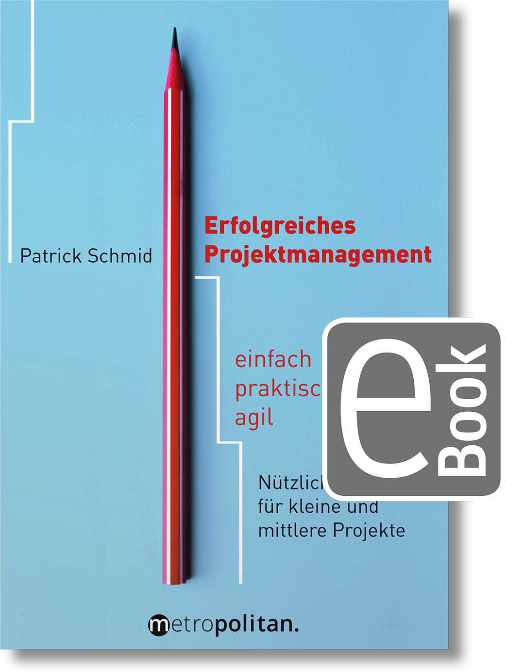 Dieses Bild zeigt das Produkt Erfolgreiches Projektmanagement
