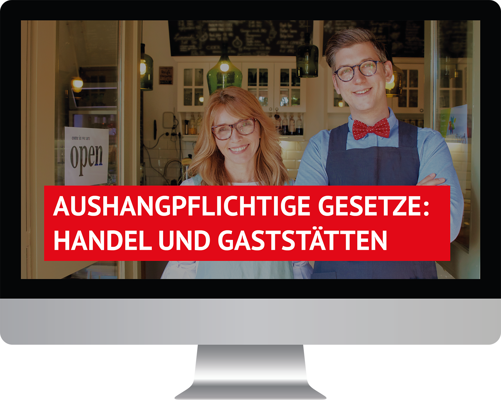 Dieses Bild zeigt das Produkt Aushangpflichtige Gesetze Handel und Gaststätten