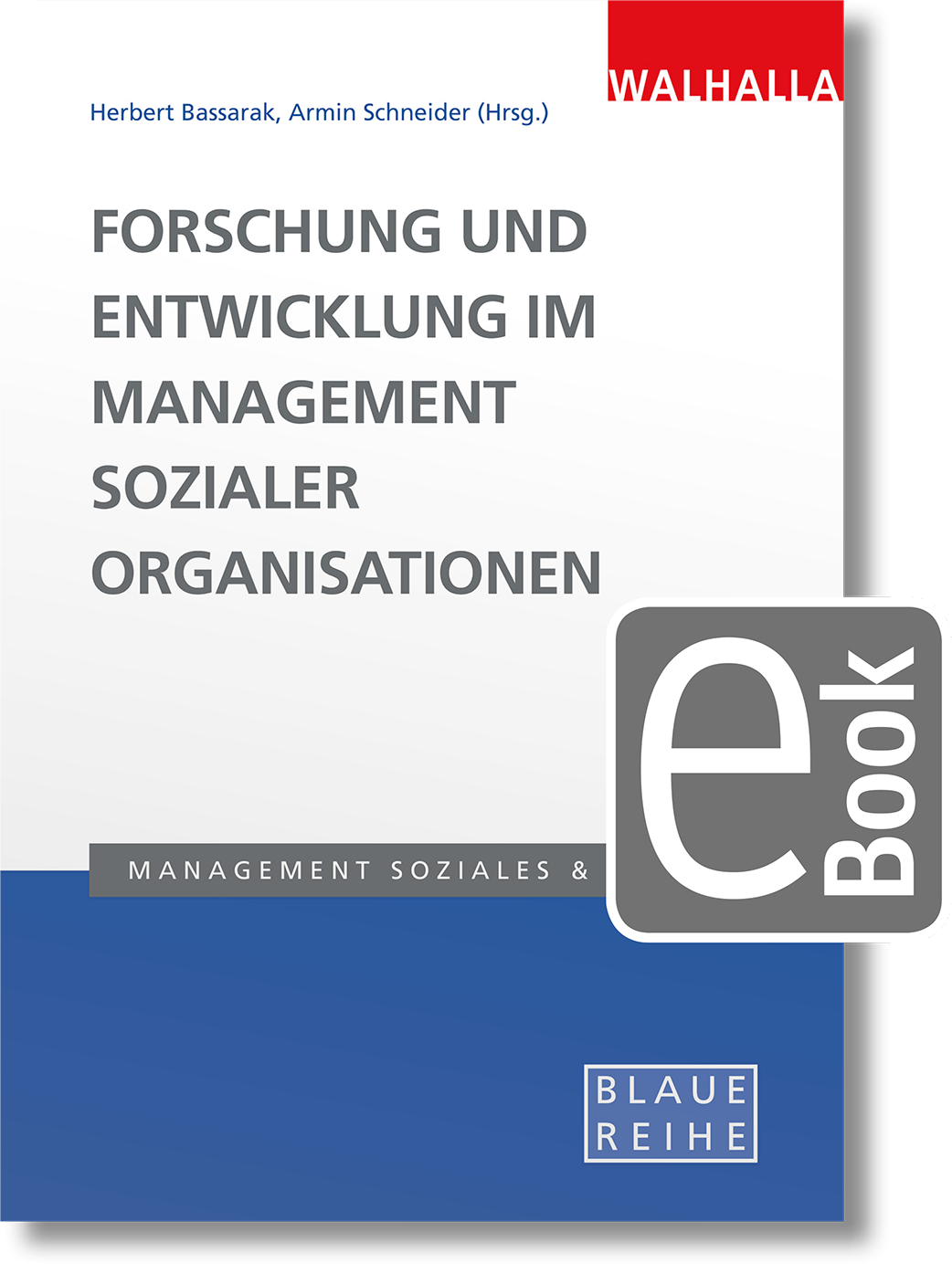 Dieses Bild zeigt das Produkt Forschung und Entwicklung im Management sozialer Organisationen