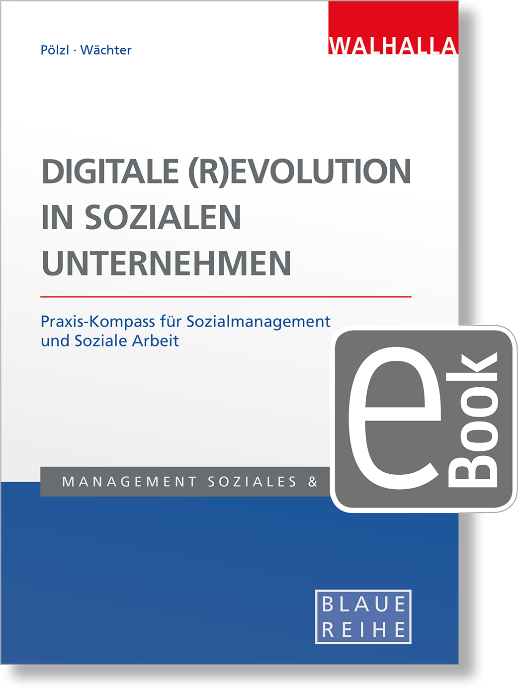 Dieses Bild zeigt das Produkt Digitale (R)Evolution in Sozialen Unternehmen
