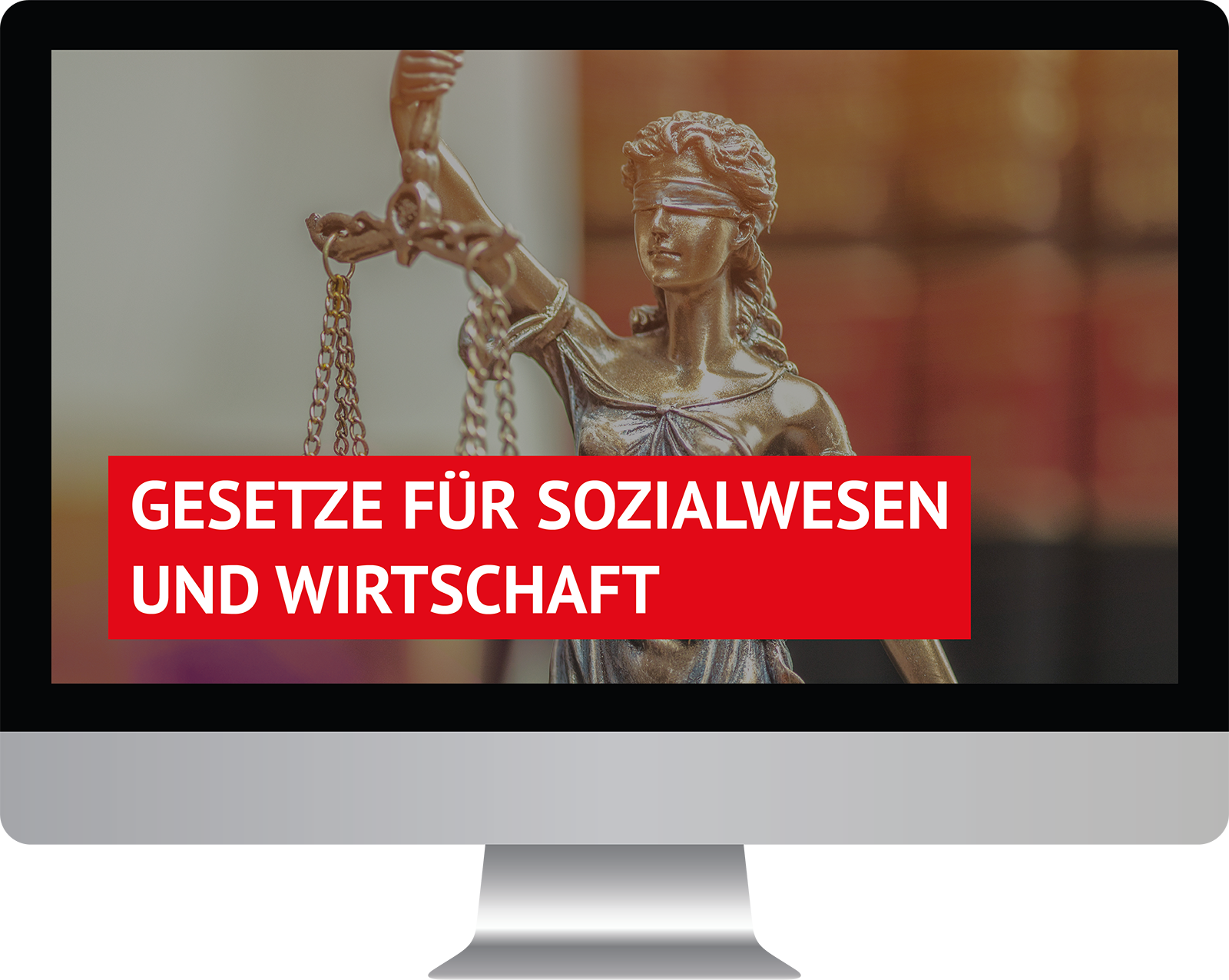 Dieses Bild zeigt das Produkt Gesetze für Sozialwesen und Wirtschaft