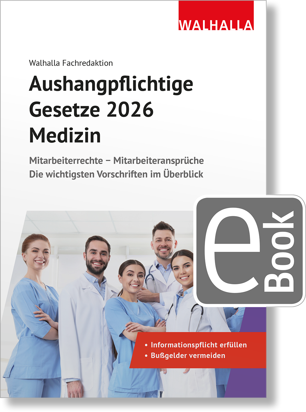 Dieses Bild zeigt das Produkt Aushangpflichtige Gesetze 2026 Medizin digital