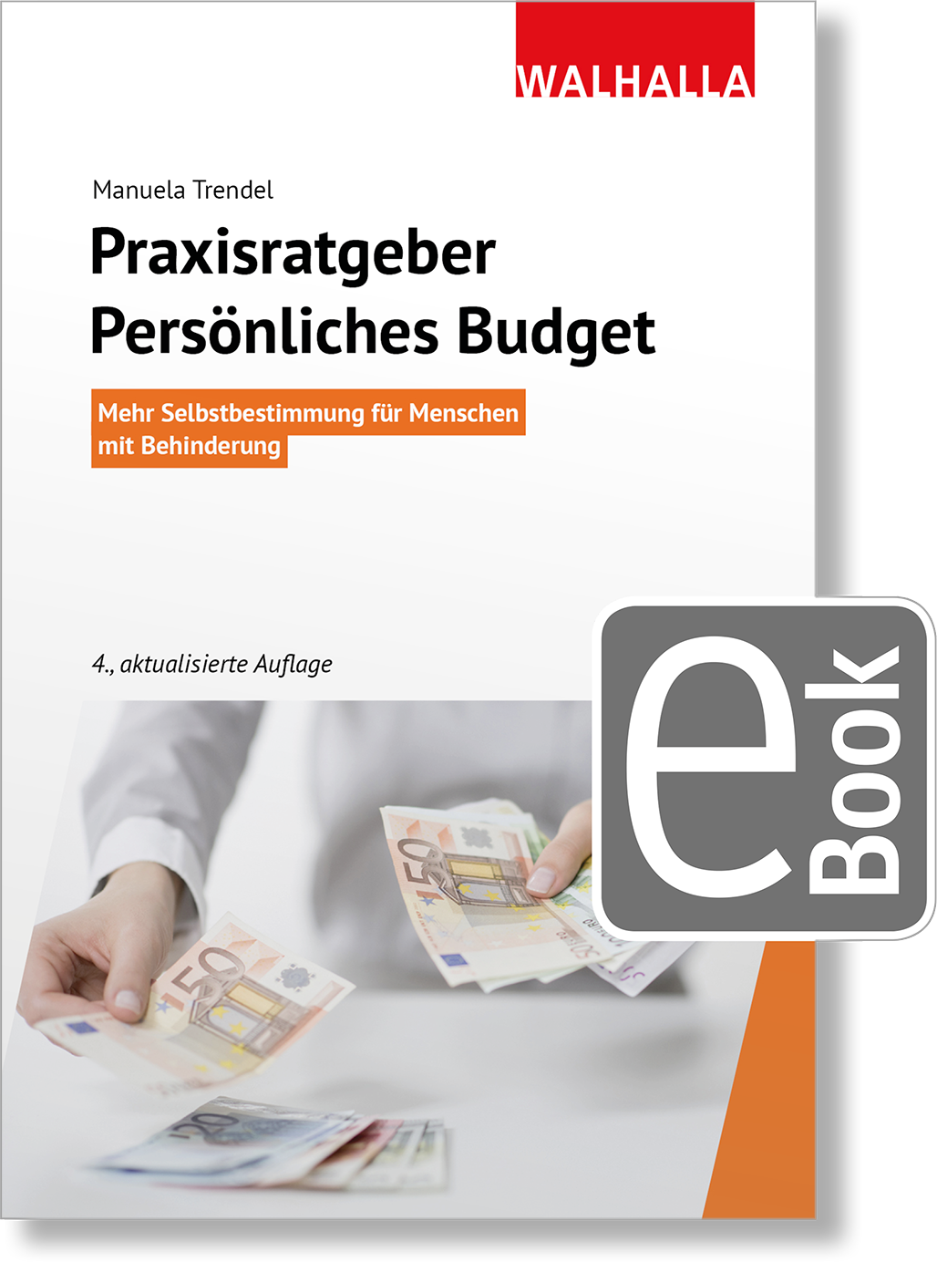 Dieses Bild zeigt das Produkt Praxisratgeber Persönliches Budget