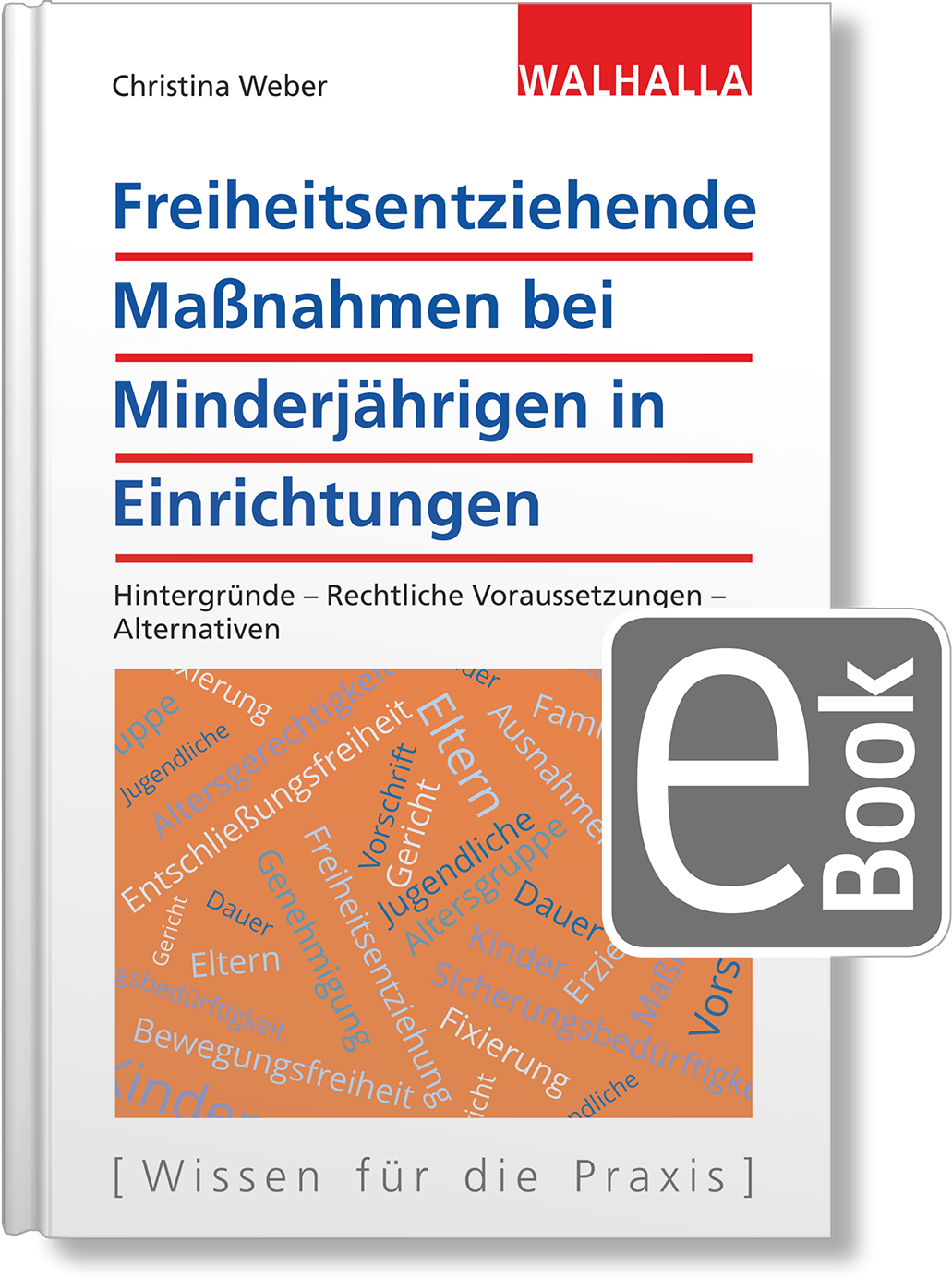 Dieses Bild zeigt das Produkt Freiheitsentziehende Maßnahmen bei Minderjährigen in Einrichtungen