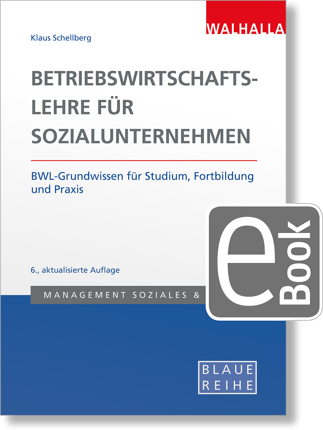 Dieses Bild zeigt das Produkt Betriebswirtschaftslehre für Sozialunternehmen