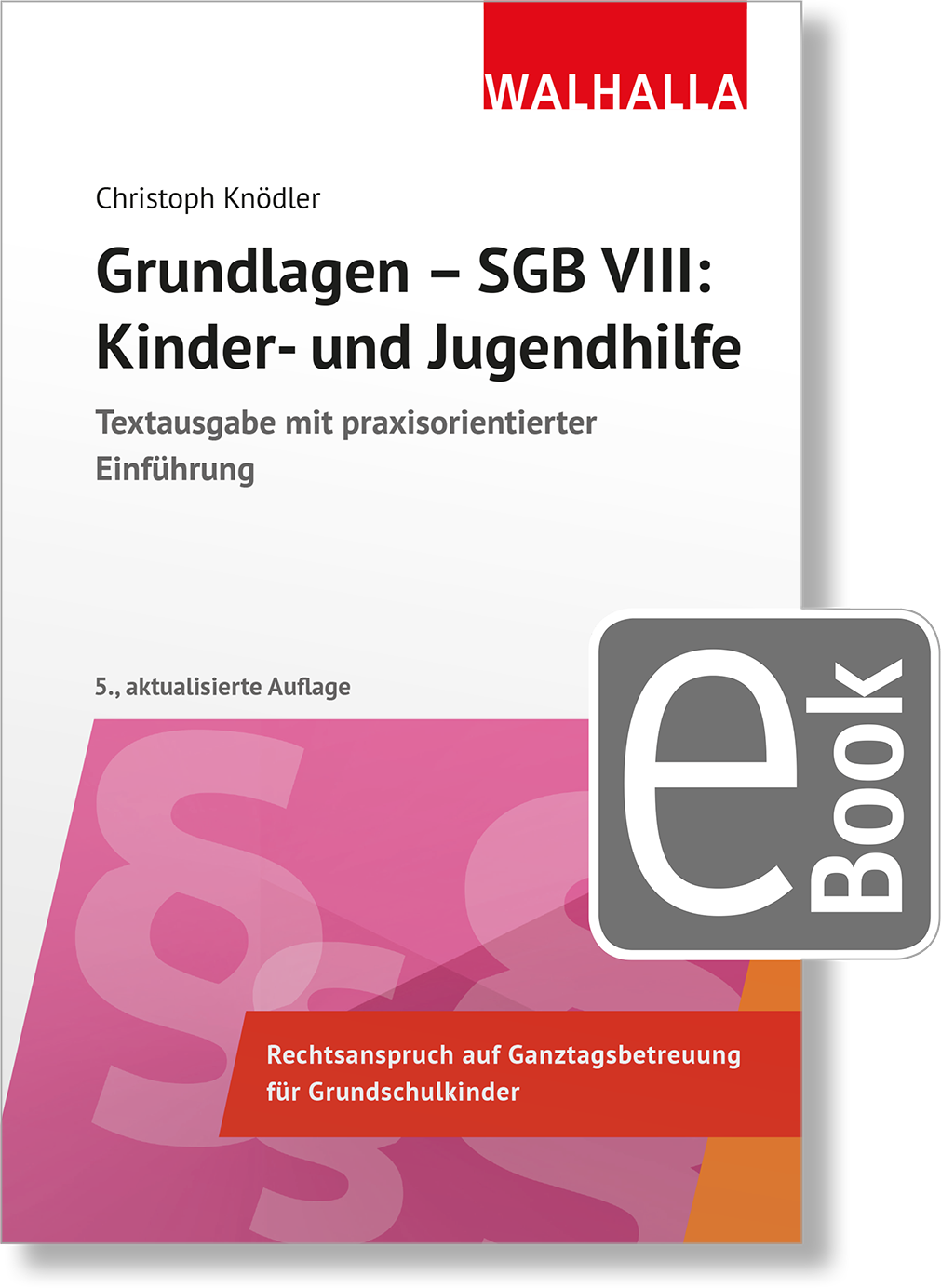 Dieses Bild zeigt das Produkt Grundlagen - SGB VIII: Kinder- und Jugendhilfe
