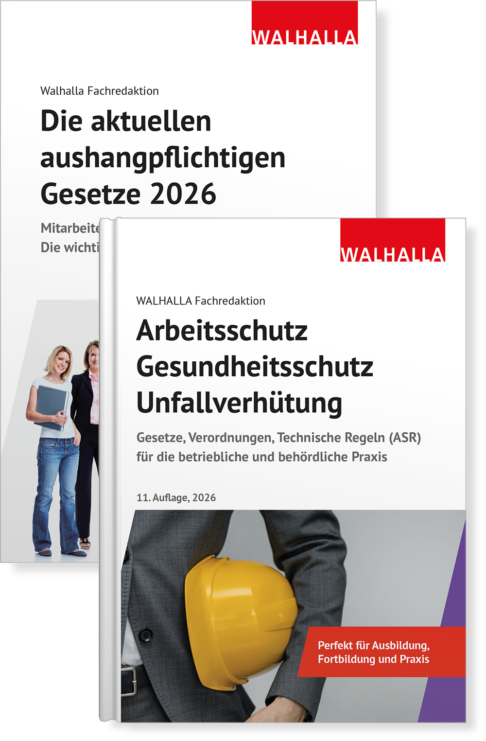 Dieses Bild zeigt das Produkt Kombi-Paket Die aktuellen aushangpflichtigen Gesetze + Arbeitsschutz, Gesundheitsschutz, Unfallverhütung 2027