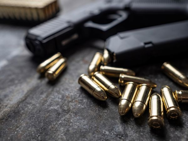 Webinar Grundlagen Waffen & Munition - Modul 1
