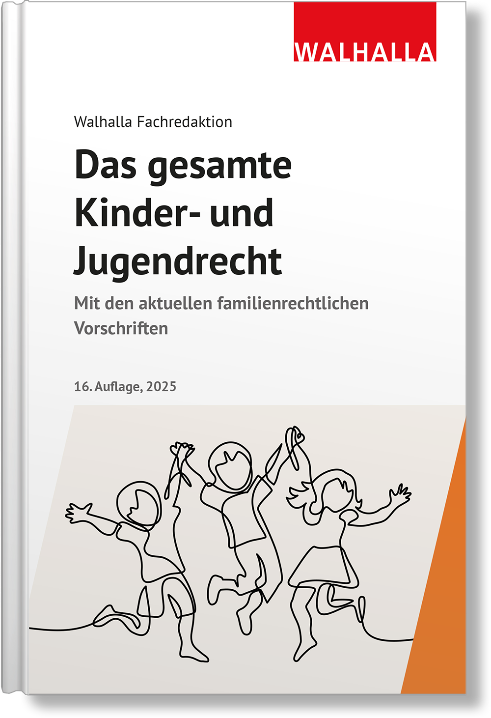 Dieses Bild zeigt das Produkt Das gesamte Kinder- und Jugendrecht