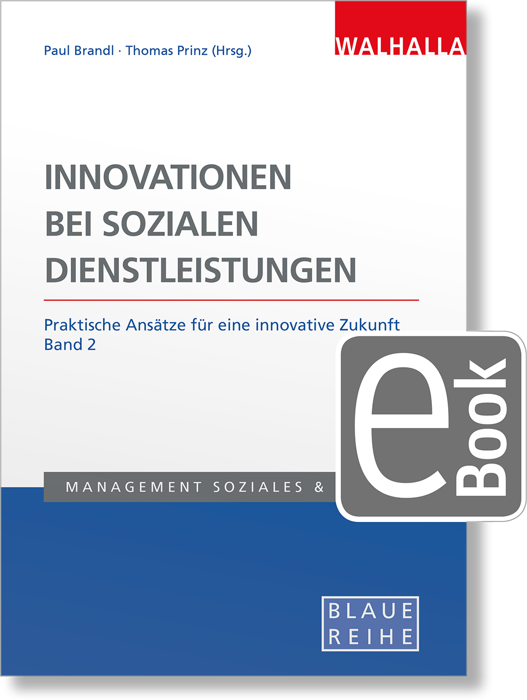 Dieses Bild zeigt das Produkt Innovationen bei sozialen Dienstleistungen Band 2