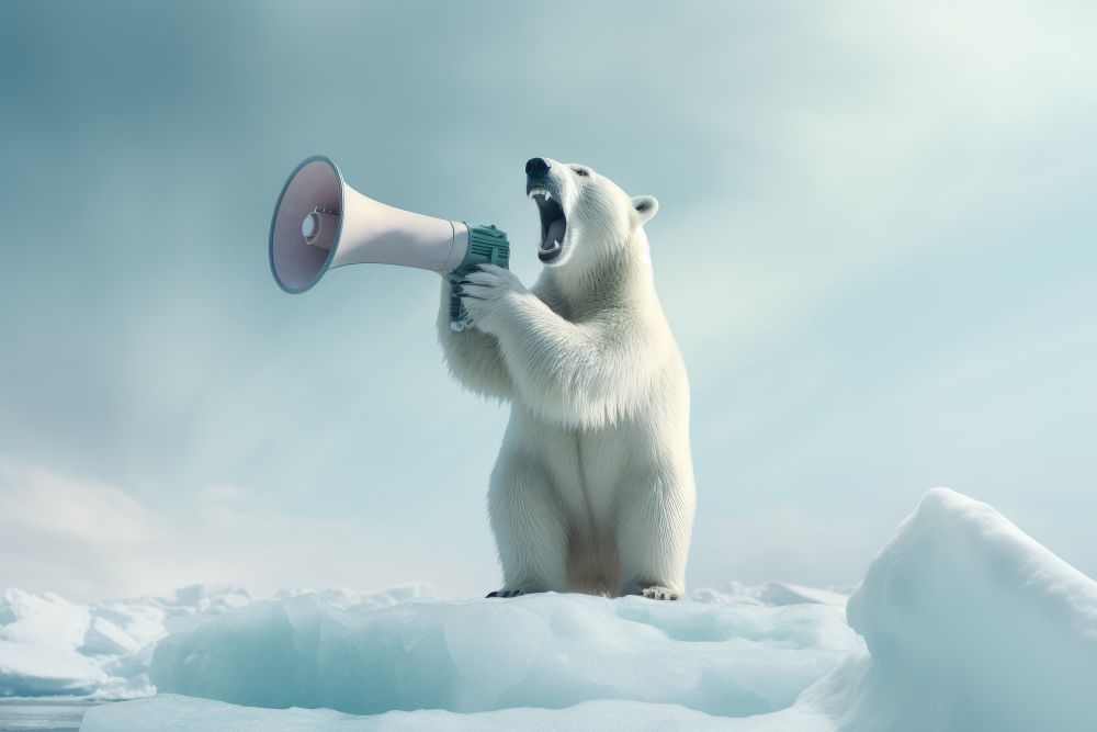 Webinar Klimakommunikation in der Verwaltung