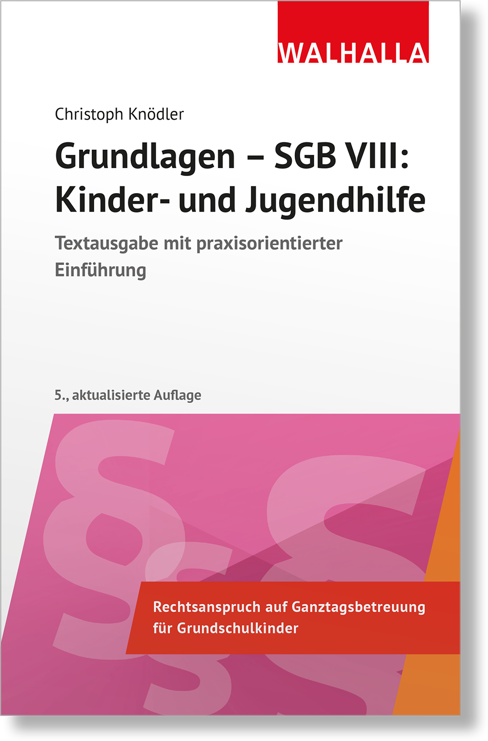 Dieses Bild zeigt das Produkt Grundlagen - SGB VIII: Kinder- und Jugendhilfe