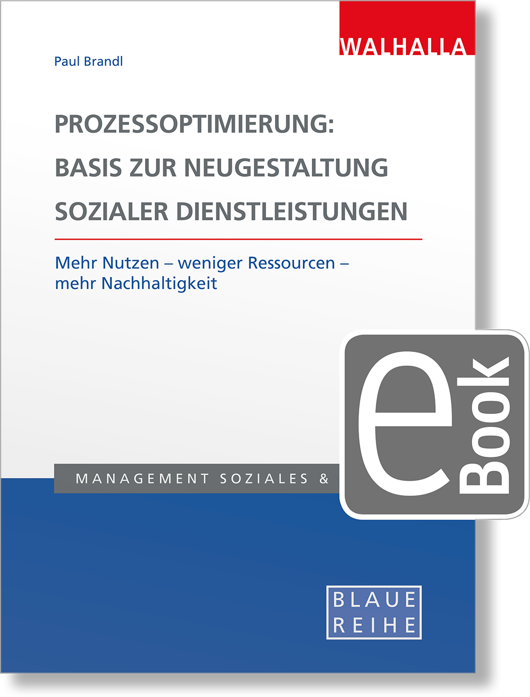 Dieses Bild zeigt das Produkt Prozessoptimierung: Basis zur Neugestaltung sozialer Dienstleistungen