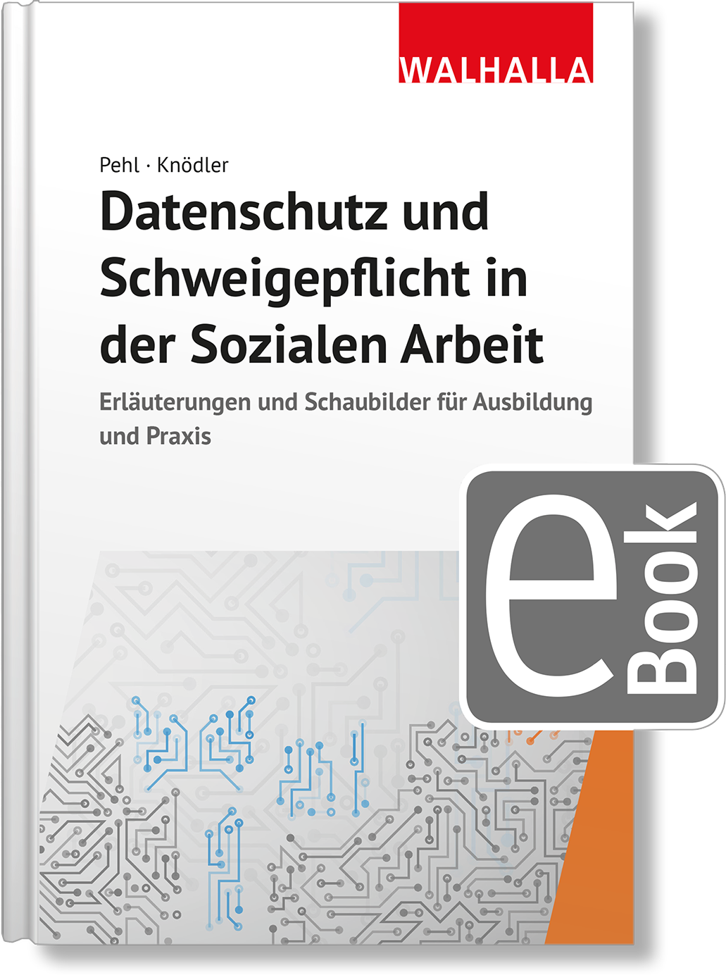 Dieses Bild zeigt das Produkt Datenschutz und Schweigepflicht in der Sozialen Arbeit