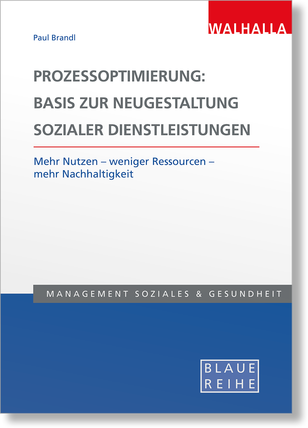 Dieses Bild zeigt das Produkt Prozessoptimierung: Basis zur Neugestaltung sozialer Dienstleistungen