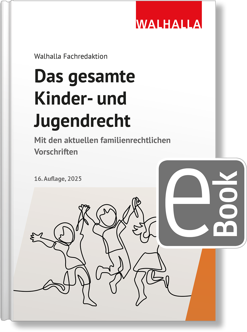 Dieses Bild zeigt das Produkt Das gesamte Kinder- und Jugendrecht