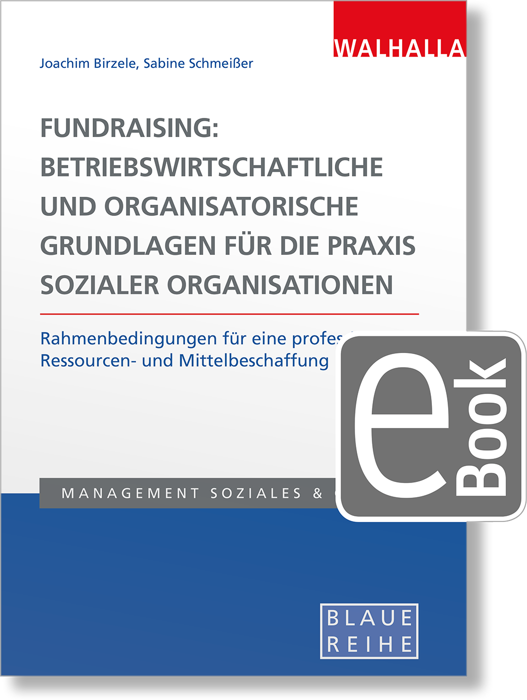 Dieses Bild zeigt das Produkt Fundraising: Betriebswirtschaftliche und organisatorische Grundlagen für die Praxis sozialer Organisationen