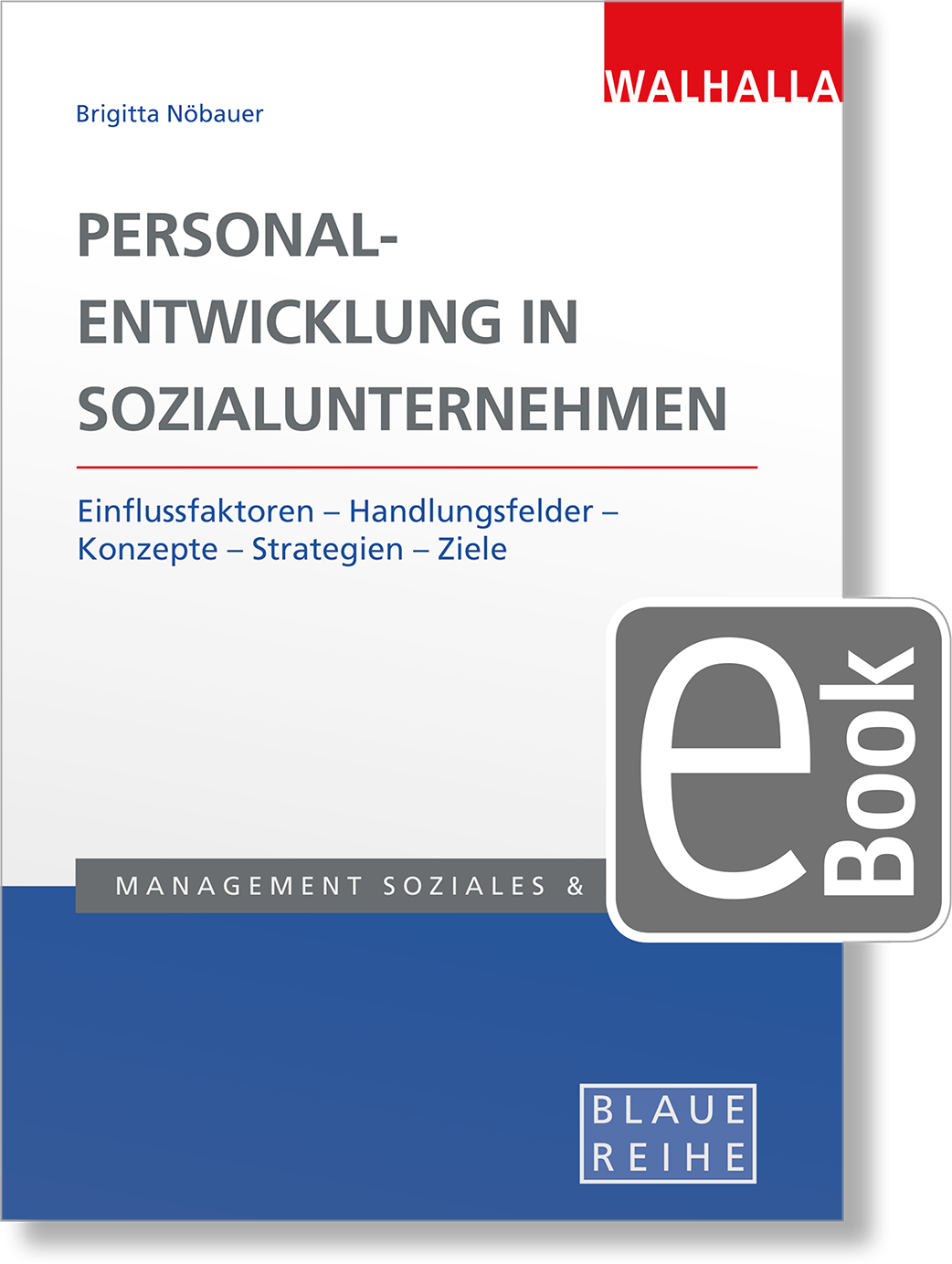 Dieses Bild zeigt das Produkt Personalentwicklung in Sozialunternehmen