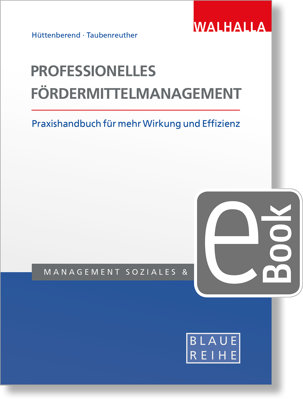 Dieses Bild zeigt das Produkt Professionelles Fördermittelmanagement