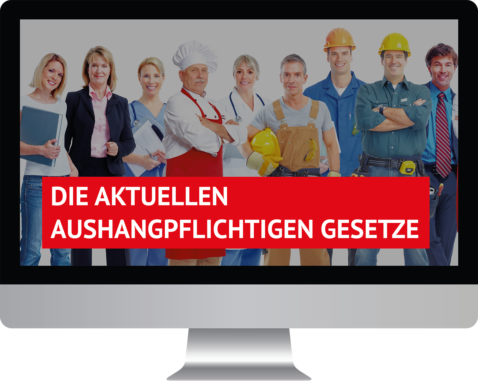 Dieses Bild zeigt das Produkt Die aktuellen aushangpflichtigen Gesetze