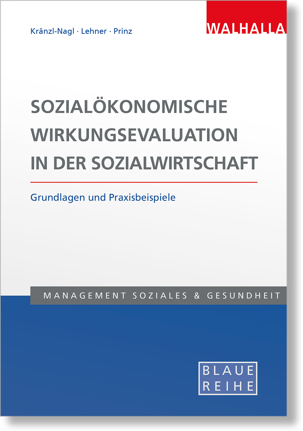 Dieses Bild zeigt das Produkt Sozialökonomische Wirkungsevaluation in der Sozialwirtschaft