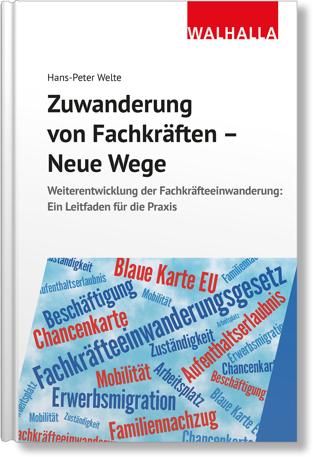 Dieses Bild zeigt das Produkt Zuwanderung von Fachkräften - Neue Wege