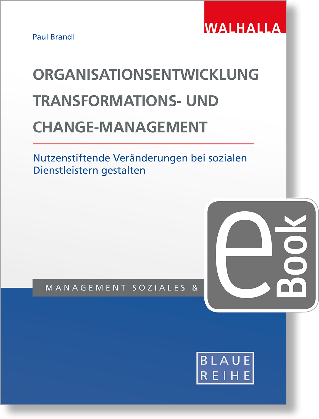 Dieses Bild zeigt das Produkt Organisationsentwicklung, Transformations- und Change-Management