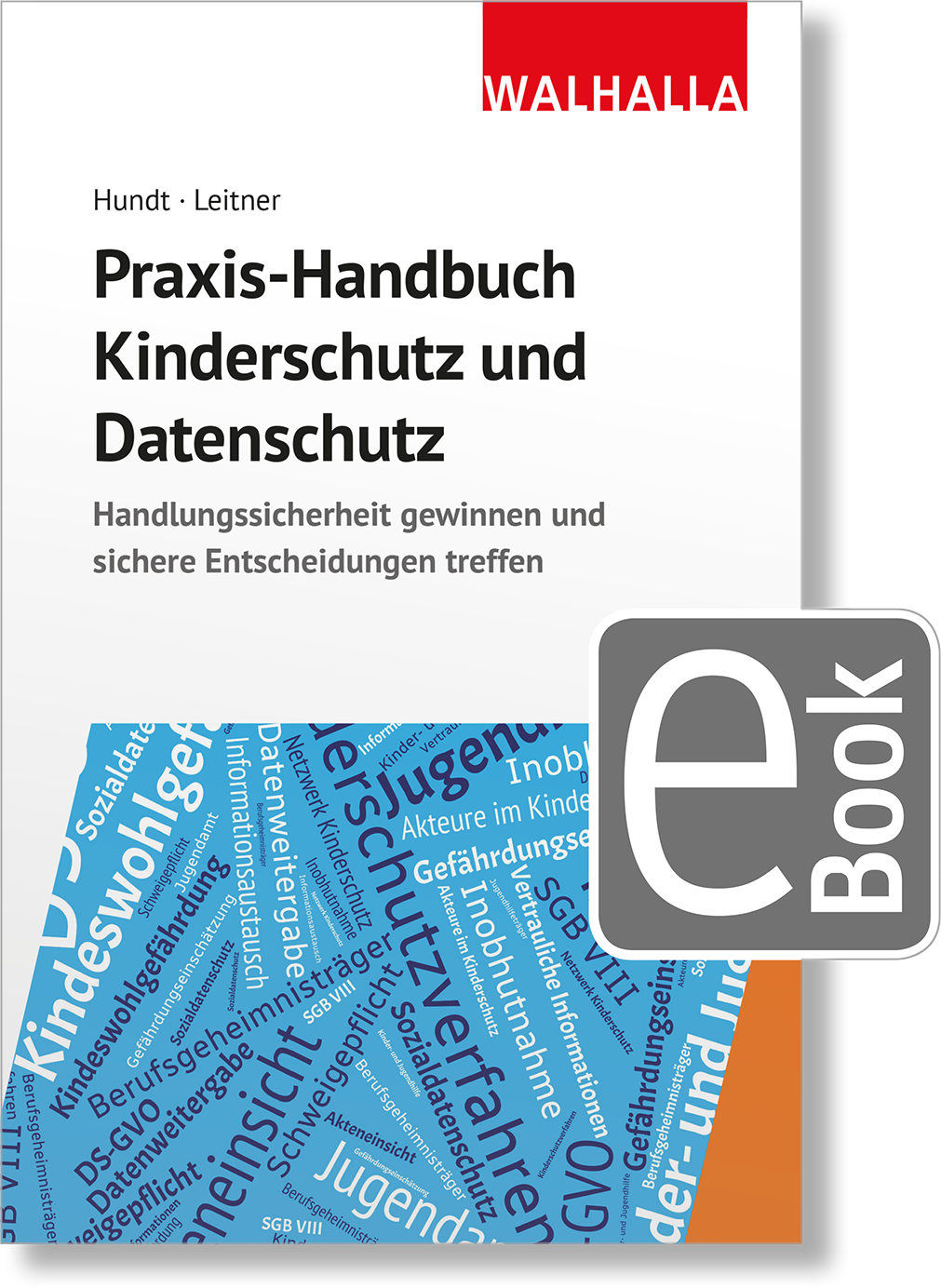 Dieses Bild zeigt das Produkt Praxis-Handbuch Kinderschutz und Datenschutz