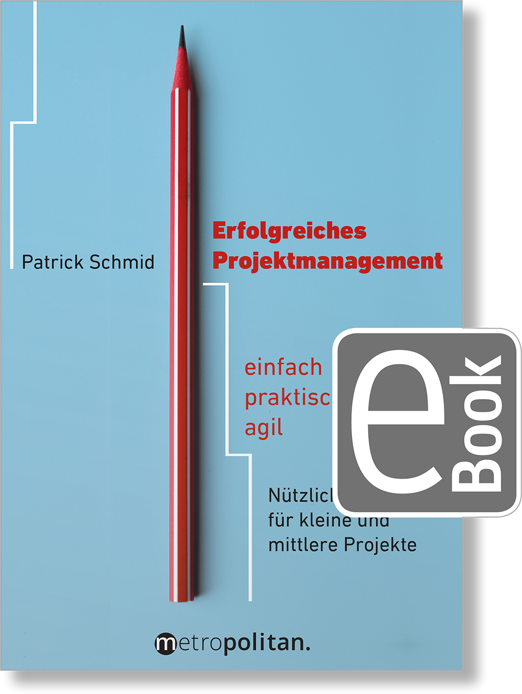 Dieses Bild zeigt das Produkt Erfolgreiches Projektmanagement