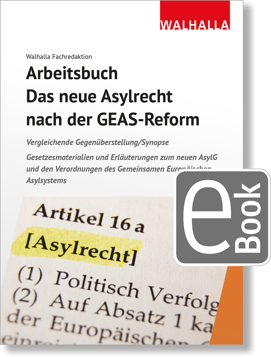 Dieses Bild zeigt das Produkt Arbeitsbuch: Das neue Asylrecht nach der GEAS-Reform