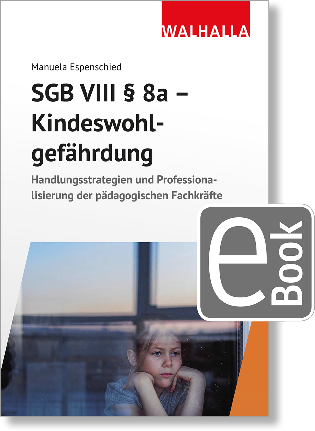 Dieses Bild zeigt das Produkt SGB VIII § 8a - Kindeswohlgefährdung