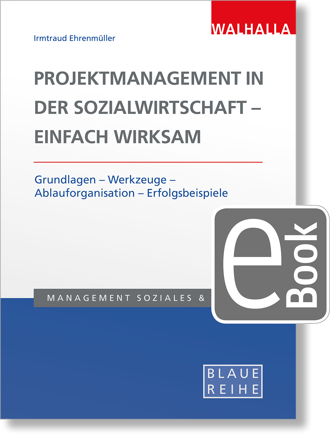 Dieses Bild zeigt das Produkt Projektmanagement in der Sozialwirtschaft - einfach wirksam