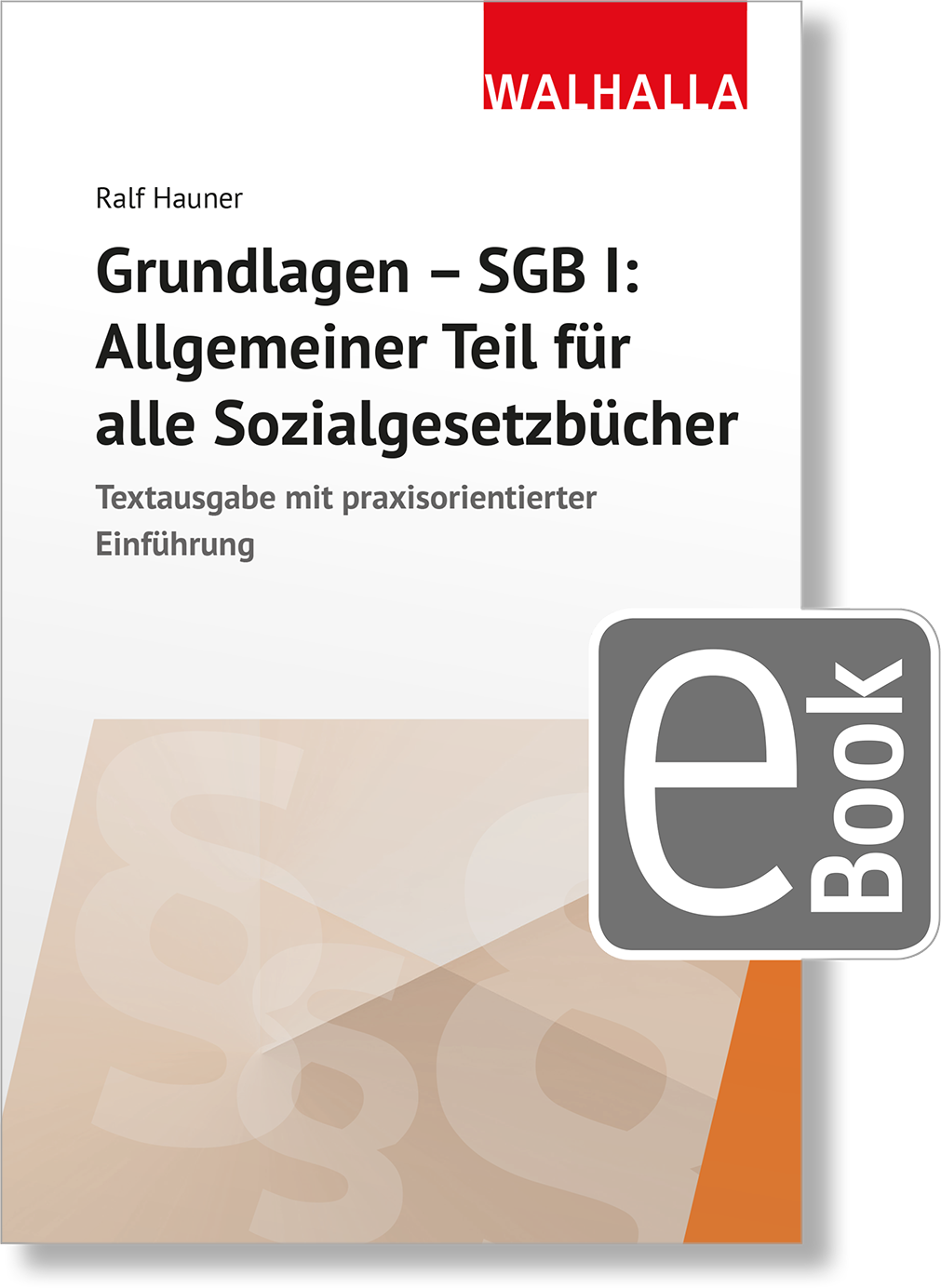 Dieses Bild zeigt das Produkt Grundlagen SGB I: Allgemeiner Teil für alle Sozialgesetzbücher