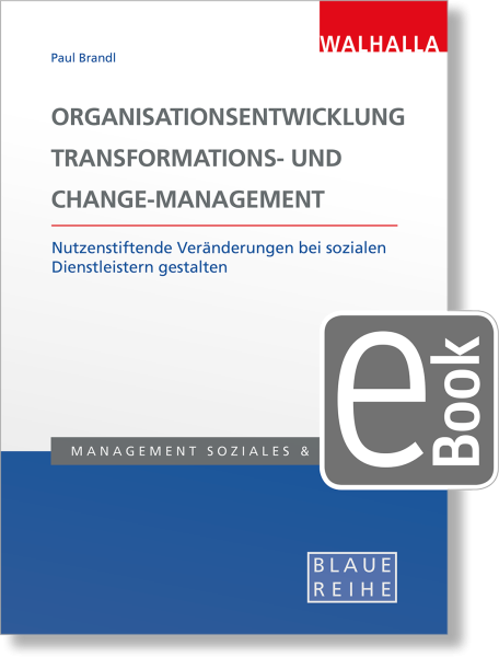 Organisationsentwicklung, Transformations- und Change-Management