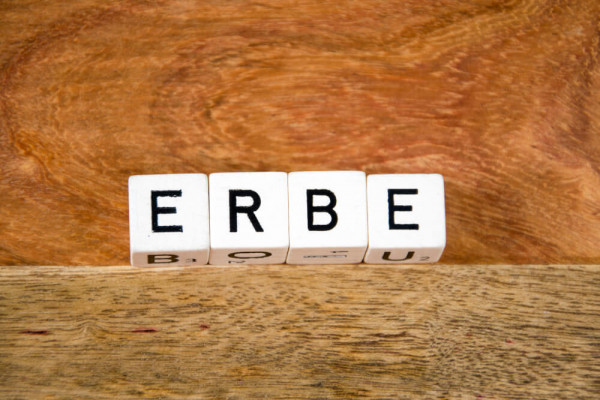 Fragen zum Erbrecht: Grundwissen für Betreuer und andere Interessierte