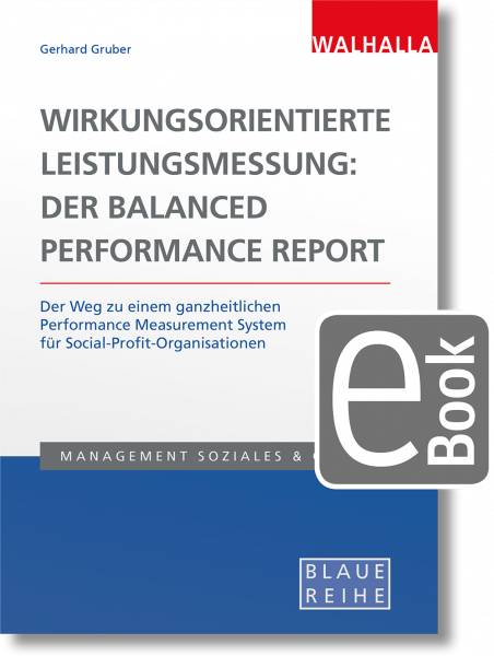 Wirkungsorientierte Leistungsmessung: Der Balanced Performance Report