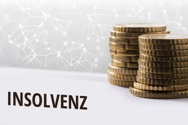 Webinar Privatinsolvenz vs. Regelinsolvenz leicht gemacht!
